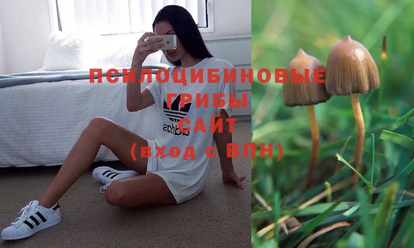ALPHA-PVP Осташков