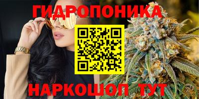 apvp Аргун