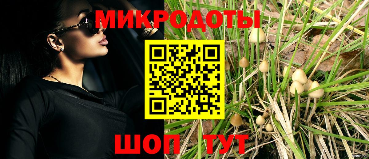 Псилоцибиновые грибы Magic Shrooms Балабаново