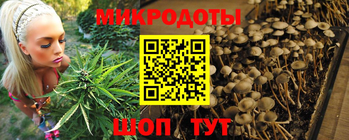 Псилоцибиновые грибы MAGIC MUSHROOMS  Вход с VPN  Балабаново  Псилоцибиновые грибы Psilocybine cubensis 